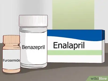 Image titled Feed an Older Dog with Heart Disease Step 11