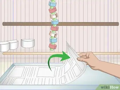 Image titled Own a Parakeet Step 8