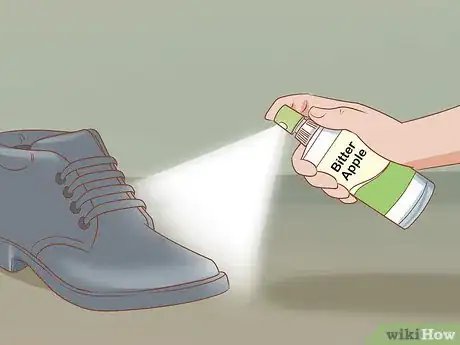 Image titled Prevent Your Chihuahua from Behaving Badly Step 5