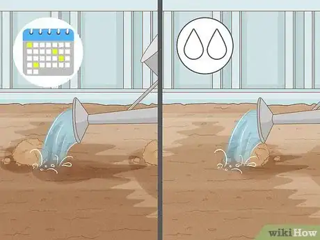 Image titled Plant Parsnips Step 9