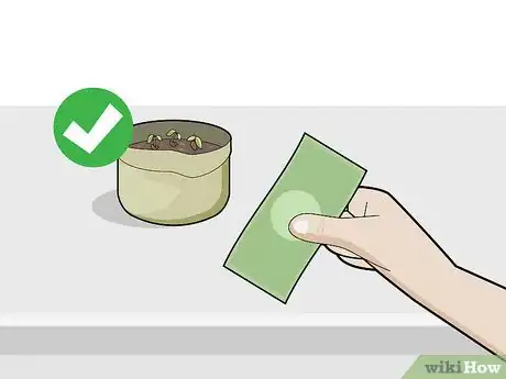 Image titled Grow Chocolate Indoors Step 5