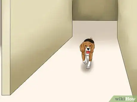Image titled Deal with Having a Visually Impaired Dog Step 9