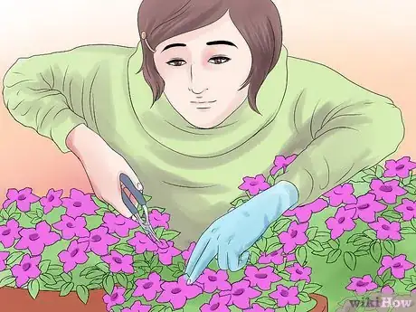 Image titled Grow Petunias Step 13
