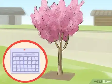 Image titled Prune a Crabapple Tree Step 1