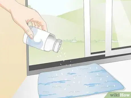 Image titled Protect Pet Birds when Spraying Your House for Fleas Step 8