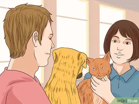 Image titled Prevent Jealousy in Current Pets when Getting a New Dog Step 11