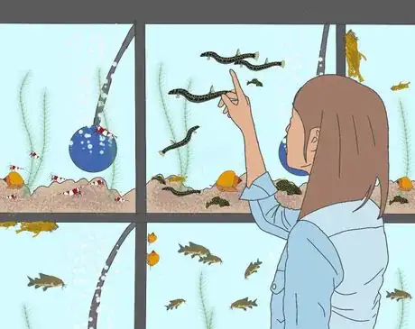 Image titled Types of bottom feeders876545675