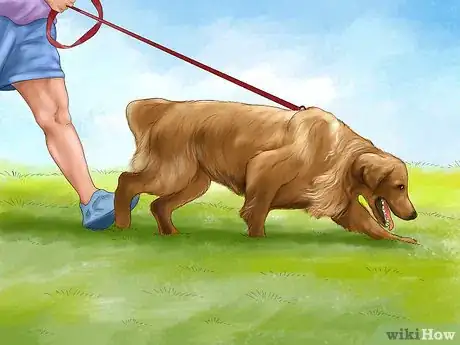 Image titled Build a Relationship With a Dog Step 10