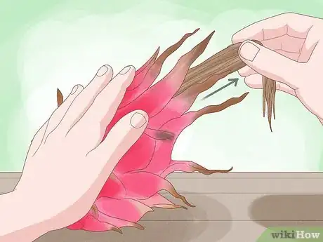 Image titled Pick Dragon Fruit Step 8
