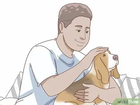 Image titled Care for Basset Hounds Step 2