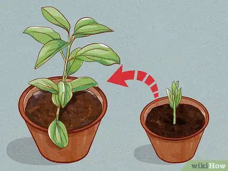 Image titled Make Cinnamon Step 8