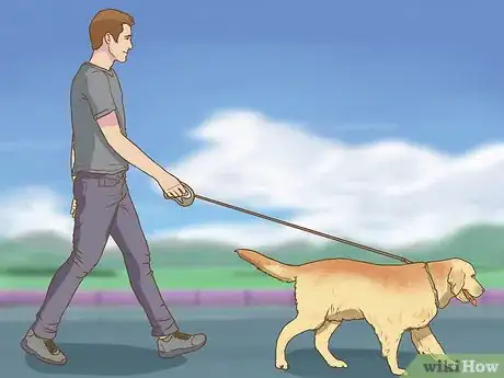 Image titled Help a Pet Grieve Step 2