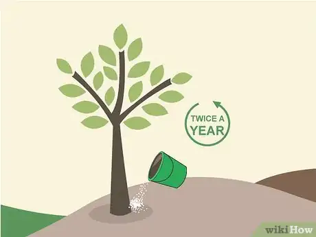 Image titled Grow Lanzones Step 13