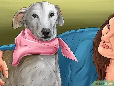 Image titled Help an Abused Dog Step 7