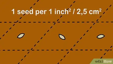 Image titled Plant Wheat Step 7