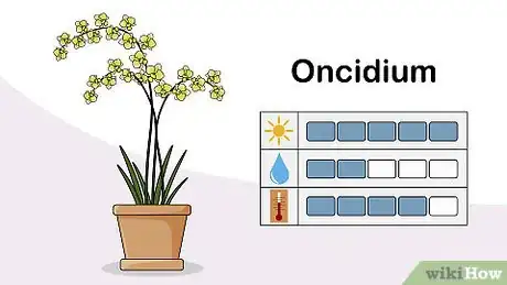 Image titled Choose an Orchid Plant Step 5