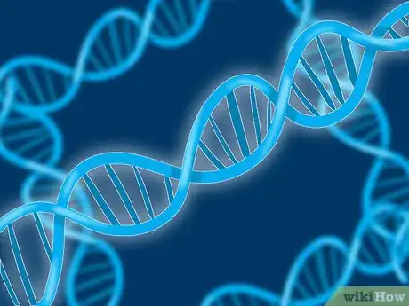 Image titled Diagnose Hereditary Angiodema Step 9