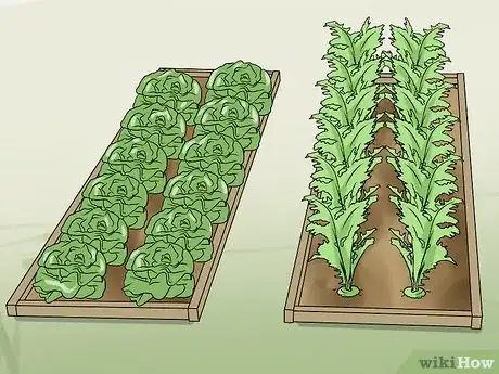 Image titled Prepare Your Yard for Summer Step 11