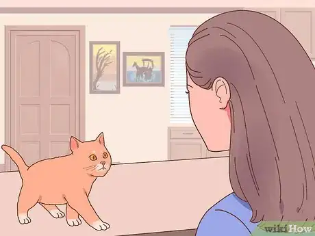 Image titled Choose the Right Kitten for Your Home Step 2