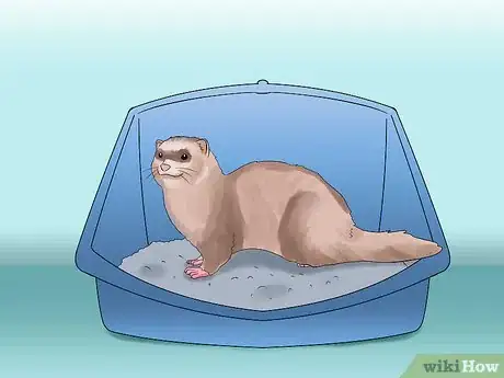Image titled Decide if a Ferret Is the Right Pet for You Step 3