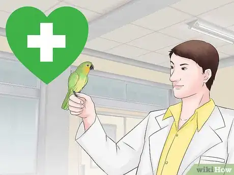 Image titled Keep a Conure Groomed Step 3