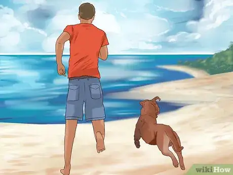 Image titled Have a Fun Day with Your Dog Step 2