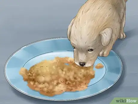 Image titled Track the Development of New Puppies Step 9