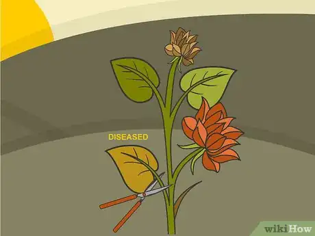 Image titled Prune Dahlias Step 06