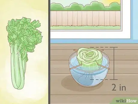 Image titled Grow Vegetables Indoors Step 1