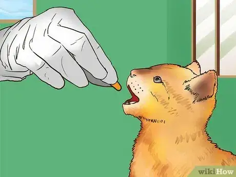 Image titled Earn the Trust of a Feral Kitten Step 9