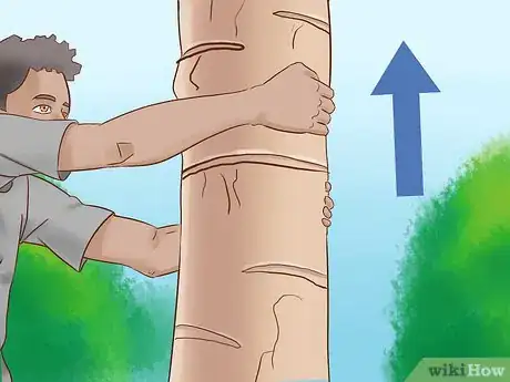 Image titled Climb a Tree With No Branches Step 14