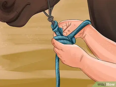 Image titled Round Pen a Horse Step 1