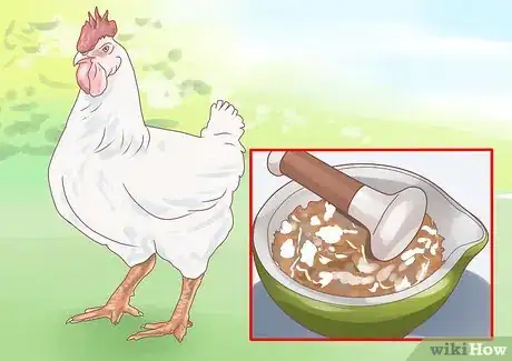 Image titled Feed Chickens Step 12