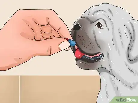 Image titled Prevent Roundworms in Dogs Step 1