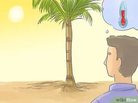 Image titled Grow a Queen Palm Step 15