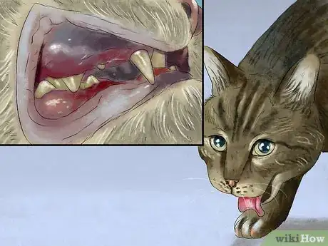 Image titled Feed a Fussy Cat Step 10