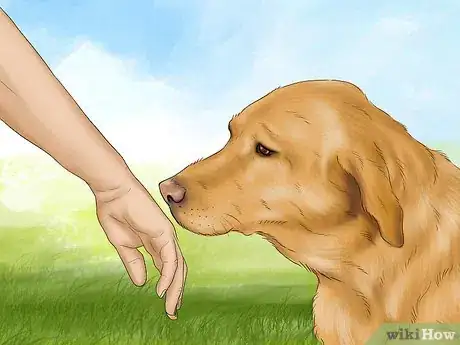 Image titled Feel Comfortable Around Big Dogs Step 5