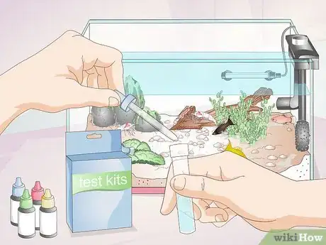 Image titled Keep Crystal Red Shrimp Step 13