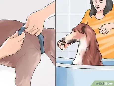 Image titled Groom a Hyper Dog Step 11