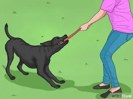 Image titled Hang Out with Your Dog Step 1