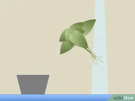 Image titled Make One Plant Hydroponics Step 10