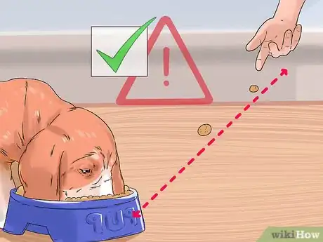 Image titled Help a Reactive Dog Relax Around Food Step 8