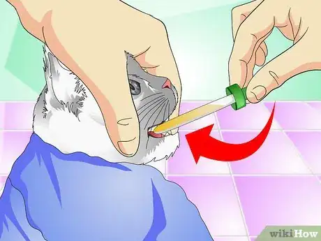 Image titled Give Cats Liquid Medicine Step 8