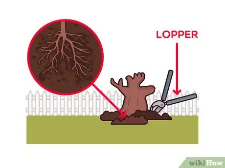 Image titled Remove Bushes Step 12