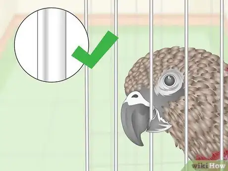 Image titled House a Hawk‐Headed Parrot Step 3