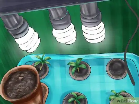 Image titled Germinate Seeds with Humidity Step 8