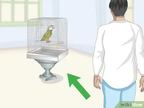 Image titled Deal with a Fearful or Stressed Senegal Parrot Step 6