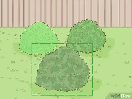 Image titled Build a Living Fence Step 2