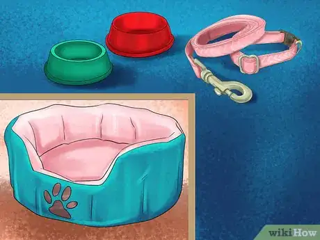 Image titled Care for a Borzoi Step 5