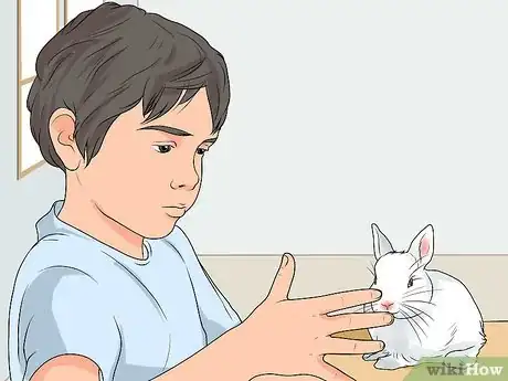 Image titled Choose a Pet Rabbit Step 4